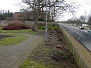 Idag 2004-03-20 008.jpg